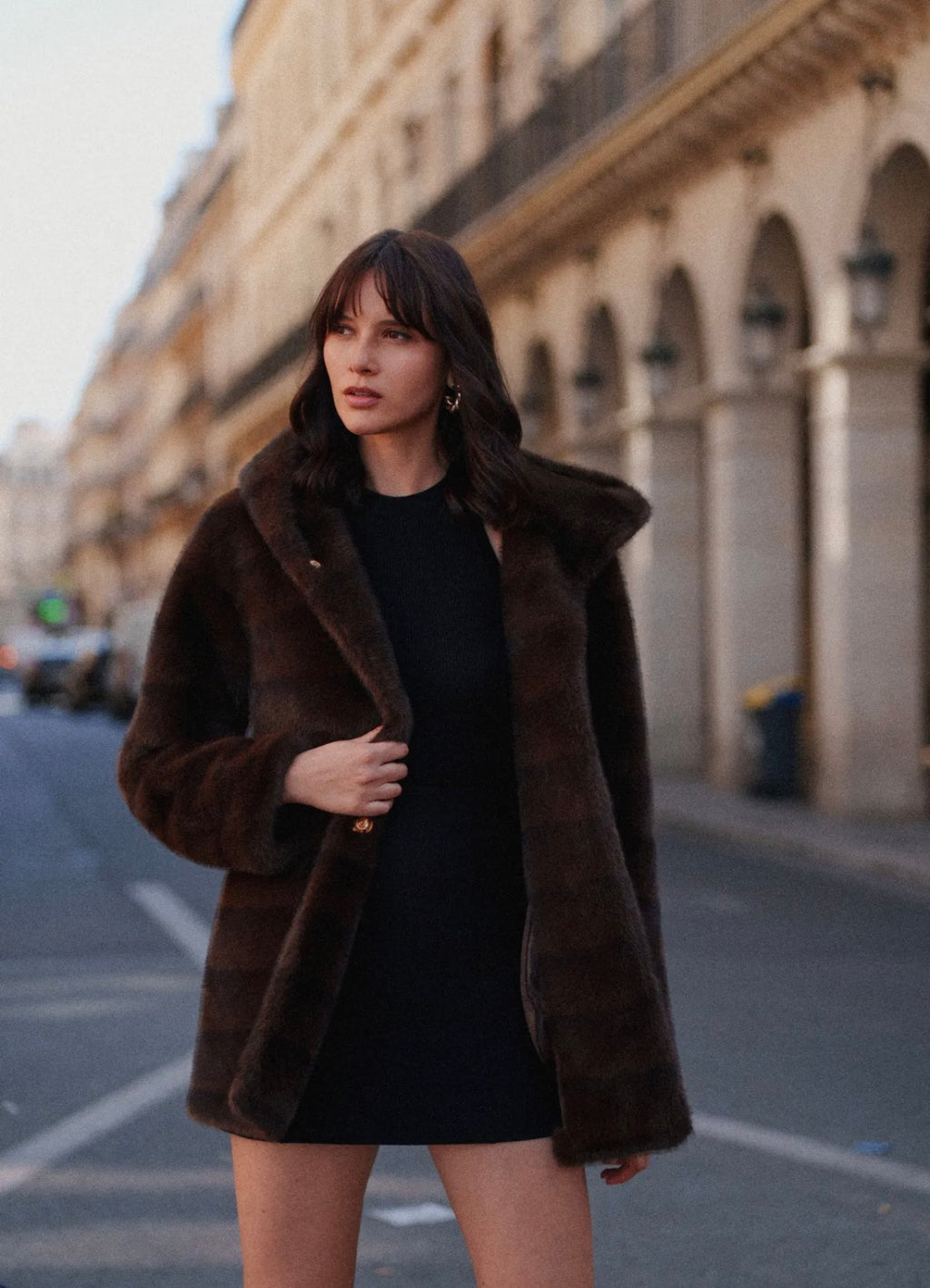 Manteau femme en fausse fourrure à capuche et ceinture FRIME
