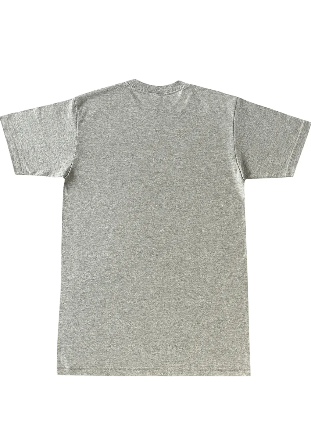 Lynyrd Skynyrd - T-shirt Homme Here To Stay