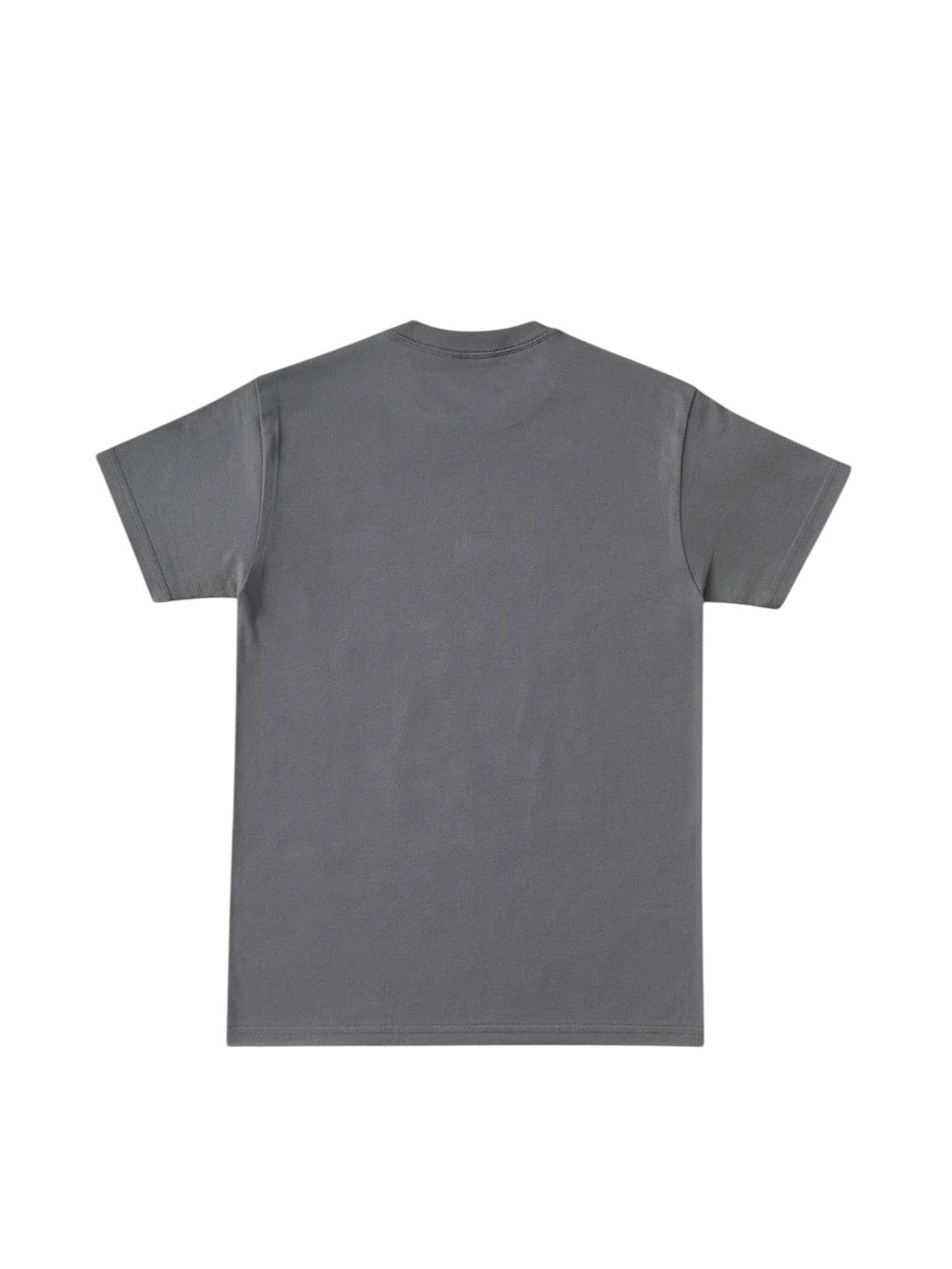 T-shirt Willie Nelson Signature Homme -