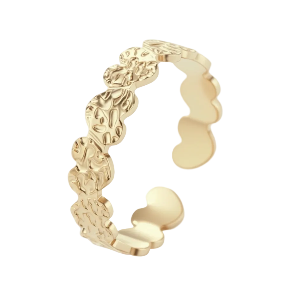 Bague en acier inoxydable
